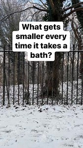 125K views · 98 reactions | What gets smaller every time it takes a bath? #riddle #quiz #viral #reels | Rob And Elizabeth | Facebook