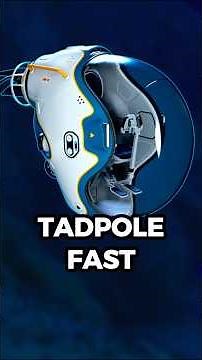 How to Get Tadpole in Subnautica 2 (All Blueprints)