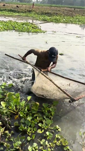 The method of using the push net to fish