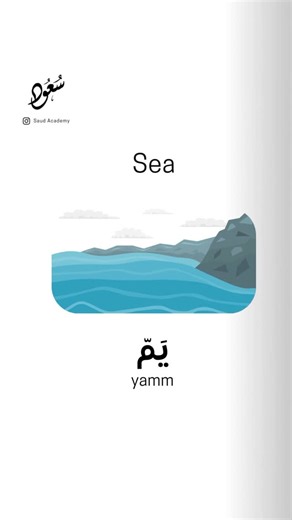 Saud Academy on Instagram‎: "Yamm (Sea) يَم 🌊🐟 The essence of a towering, mighty, and overwhelming body of water. Yamm is not just a sea 🔹 Linguistic Insight Derived from the root ي–م–م (Y–M–M), which conveys meanings of “to aim,” “to intend,” or “to be vast and comprehensive.” In its nominal form Yamm, it specifically refers to a great sea or vast ocean, often carrying a more dramatic, monumental connotation than the more common baḥr. Related forms: يَمّ (Yamm) – A vast sea, ocean (often use