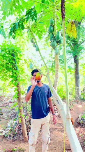 Delicious Fresh Papaya Recipe to Try!