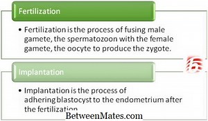 수정과 이식의 차이 | 시비와 이식의 차이점 - 과학과 자연 2026