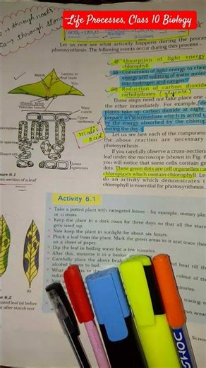 ~Life Processes, Class 10 Biology CBSE