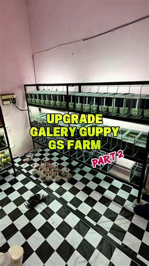 Upgrade Guppy Gallery GS FARM Part 2: Transforming Space