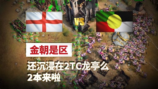 【高分录像】金朝 你就玩吧 帝国时代四 高分录像 英格兰 VS 金