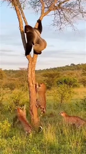 Amazing AI Video Showcasing Wildlife and Pets