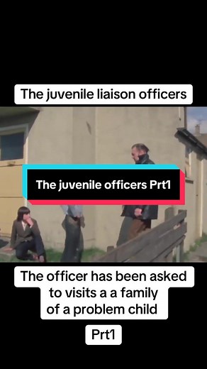 Insight into Juvenile Officers' Roles and Challenges