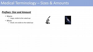 Medical Terminology - The Basics - Lesson 1
