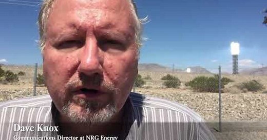 This Mojave Desert solar plant kills 6,000 birds a year. Here's why that won't change any time soon