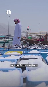 12K views · 755 reactions | The Musandam Governorate is the smallest part of the Sultanate of Oman and is located at the tip of the Arabian Peninsula. Musandam is known for unique separated natural rock formation that overlooks the Strait of Hormuz, which is one of the biggest waterways in the world. #Oman #Musandam #Fishing #Khasab | Oman Observer | Facebook