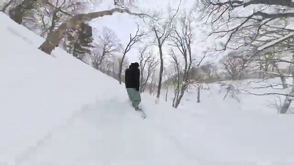 Lib Tech Apex Orca Snowboard Review