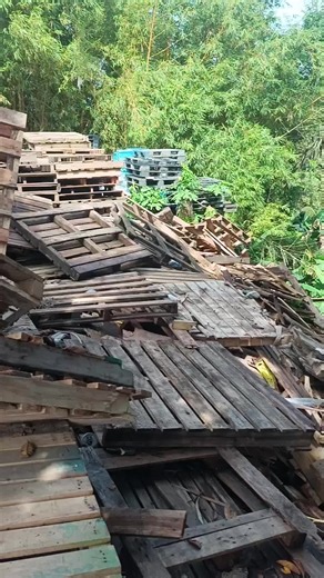 ARBAIN BARKAS (@bain_syah)’s videos with suara asli - ARBAIN BARKAS