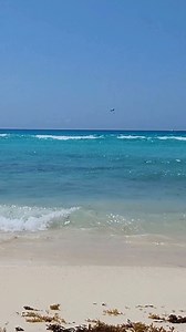 5.3K views · 57 reactions |  On this World Oceans' Day, let the soothing waves of the Caribbean Sea be the sound that inspires a moment of reflection about their vital role in our planet's health and how we can all help in protecting them. Dive in, enjoy, and help preserve our blue planet!  | Secrets The Vine Cancun | Facebook