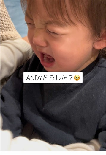 子供のいる暮らしとトイストーリーの思い出