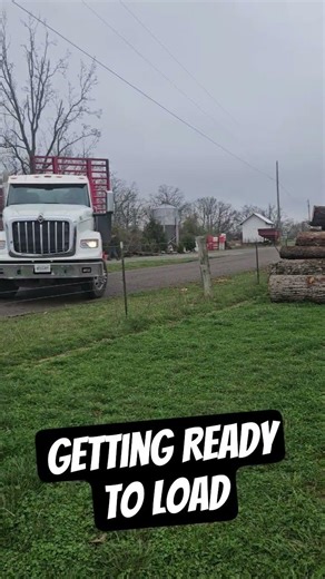 Loading some logs #bluecollarlogger #tree #forestry