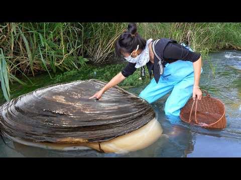 Clam Shell Magic: 💯 Teen’s River Find Sparks Global Interest—Pearls Inside Are Worth a Fortune!
