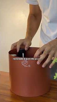 Samambaia hidratada por semanas! 💧💚
