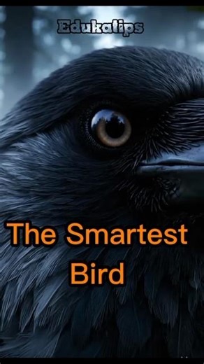Not just a bird… a problem solver. 🐦🧠This might surprise you.