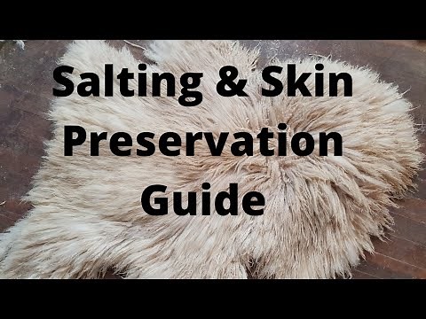 Sheep Tanning - Stage 1 - Salting