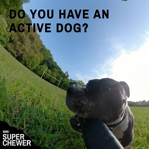 667 reactions · 115 shares | Wanna talk about your dog? We wanna listen. We’ll figure out exactly how to spoil them with exclusive discounts. Or we’ll just listen to you talk about your dog. That’s cool, too. | BARK | Facebook