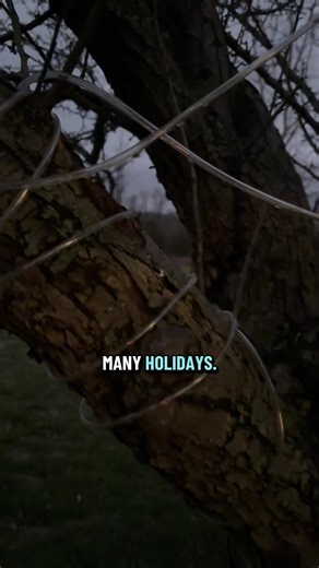 Decorative solar power rope lights for any time of year.