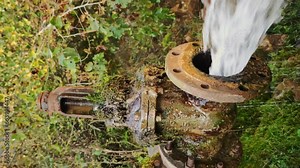Closeup view of rusty pipe with string stream of water flowing of it located in a forest filmed in vertical orientation. Old metal tube with faucet in wood. Industrial aqua constructions out of order.