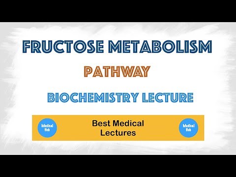 Fructose Metabolism pathway