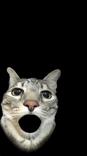 #fnaf #fivenightsatfreddys #fivenightsatfreddy #memes xddddddddddddddddddddddddddddddddddddddddddddd