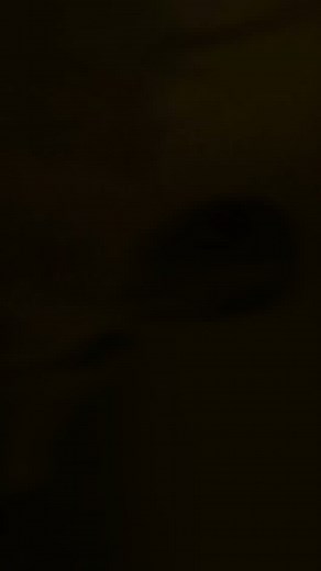 mix.bodo on Instagram: "𝗕𝗶𝗯𝗮𝗿 𝗻𝘄𝗻𝗴𝗻𝗶 🌷 𝗦𝗼𝗻𝗴 ◻"