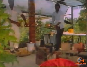 Is there anything quite as nostalgic as this early 1990s TV advertisement for Lions Brand TT products depicting the scene of a traditional Indo-Trinidadian wedding? It was made by agency McCann Erickson, directed by David Gomez, shot on 16mm film, set in the town of Freeport in Central Trinidad, Pearl & Dean crew, and features the popular Hindi film song “Bhagi Re Bhagi Brij Bala” (1982). Lions Brand manufactures roti flour, baking powder, split peas powder, etc. and belongs to the National Flou