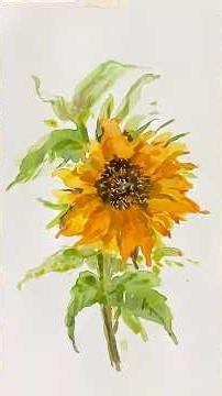 Inspiring Sunflower Watercolor Painting Ideas