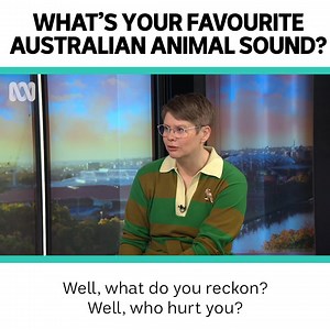 27K views · 188 reactions | "I don't [have a favourite], you know why? Because that is like asking a parent, which is the favourite child, and you just cannot do that." Luckily, you can choose up to three animal sounds! Vote now: abc.net.au/sounds | ABC Science | Facebook