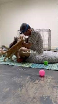 Cat Music 🐈Eternity—Alex Warren 🐾With Missy’s Family