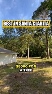👋Hey guys! My name is Jose, and I own Best Valley Tree Service here in Sta Clarita⭐ I absolutely LOVE what I do—helping people keep their homes safe and beautiful by taking care of problem trees. Everyone always asks… how much does it cost to remove or trim a tree? Well… It depends on a few things: Do you need something quick and cost-effective? Or do you want every step done with precision, leaving your yard looking perfect? Unfortunately, not all tree removal quotes are created equal. We know