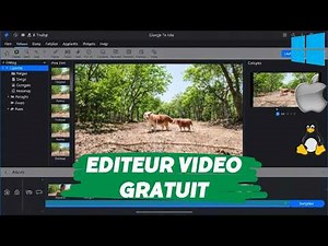 Olive Tutorial: simple video editing, FREE and with no subscription
