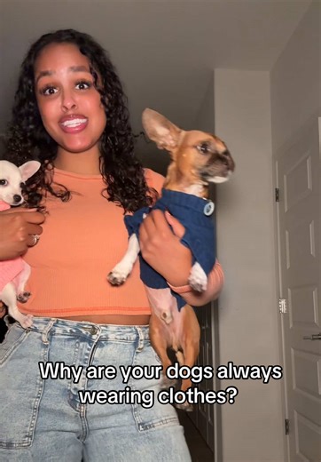 Just my normal icon ways, no big deal 😂🥰🤪 #dogsoftiktok #dogmom #fyp #humor #smallcontentcreators