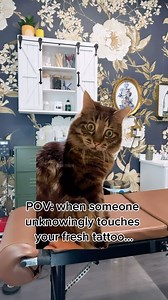 True story, I had just gotten 2/3 of my back tattooed and I’ve never gotten so many back pats or scratches afterward. No. Touchy. 🤣🤣🤣 #thepaintedlady #tattooreel #tattoohumor #tattooed #tattoolife #tattoocommunity #tattooreels #tattoos | The Painted Lady