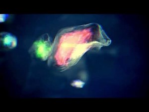 Amazing Atoms & Molecules Animation - LIVE BACKGROUND - ANIMATED BACKGROUND WALLPAPERS LOOPS