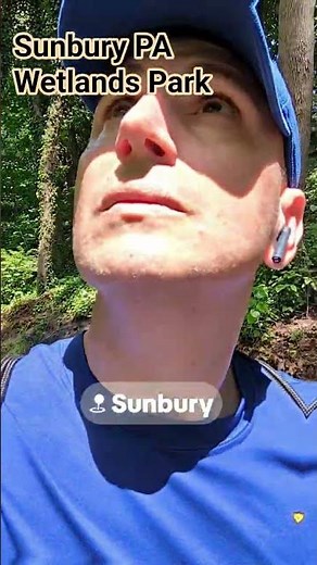 Urban Wetland Sunbury PA 🪿