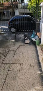 #casinhadaruby tá cuidando 🤣🤣🤣🤣 Uma parceria com @natural4lifegourmet @sati.sfation2 . . | Ruby Miguel Junior