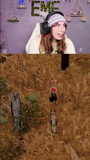 This is like the Sims but with wolves (Wolf Quest Anniversary Edition)