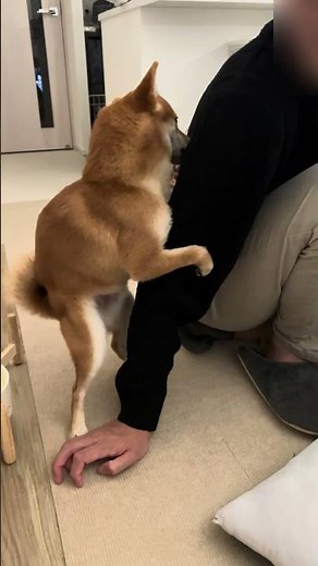 マウンティング③