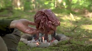 127K views · 1.5K reactions |  BAVARIAN TASTE GURANTEED Hands up for all stew fans ✋ Smoked Ox Cheeks cooked outdoor over real fire! | Fire Kitchen | Facebook