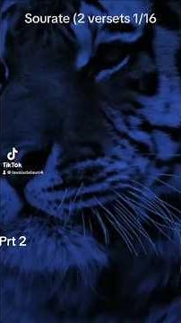 Le coran en français sur youtube