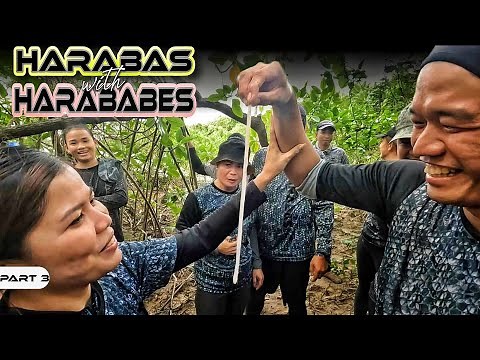 P3-HARABAS WITH HARABABES - EP1042