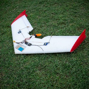 Micro Bee (600MM) FPV Flying Wing - TuffBirds - Super Tough Wings & Planes - Vortex-RC