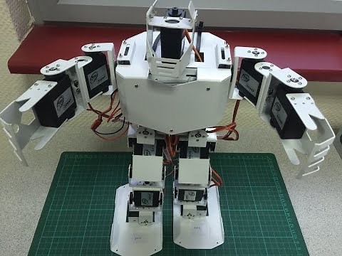 Montage et programmation Robot humanoïde
