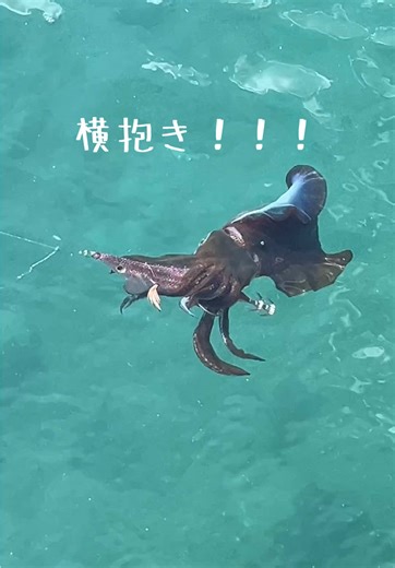 このカラーは【デイロックブラウン】 ゴールドとブラウンの組み合わせで、派手さは無いが実績のあるカラーです。 #エギング #釣り #キーストン