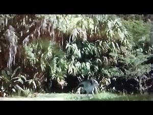 Disney Dinosaur Carnotaurus Attack Scene HD