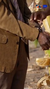 Zambezi Magic Reels | Zambezi Magic TV